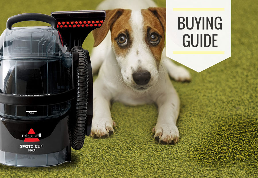 Best Spot Carpet Cleaner For Pet Stains 