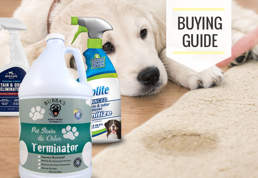 Best Carpet Cleaner For Old Pet Urine Carpet Cleaner For Pet Urine And Other Stains