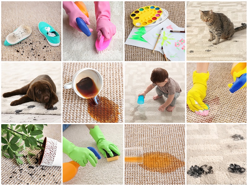 benefits of a spot cleaner carpet cleaning machine - collage of different kinds of messes and spills on carpet