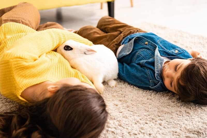 children laying on clean thick pile shag carpet with soft pet bunny