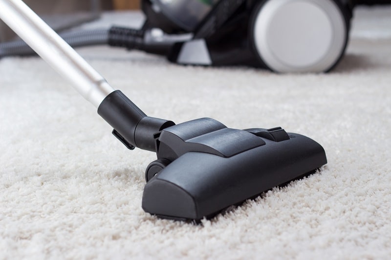 vacuum cleaning thick pile carpet